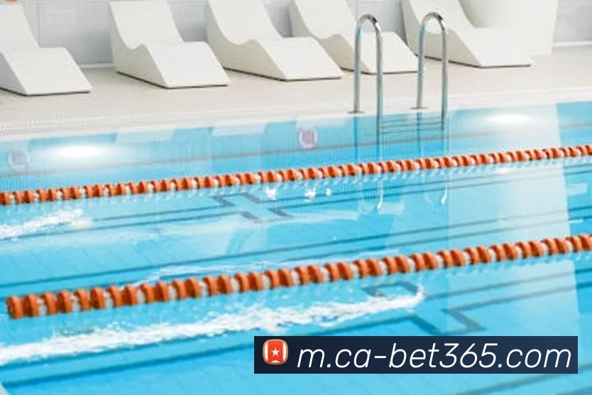 bet365APP 高清赛事图